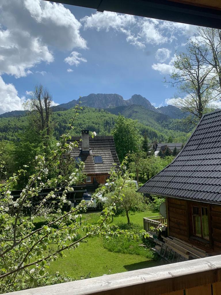Domek Sekret Zakopane Exteriér fotografie