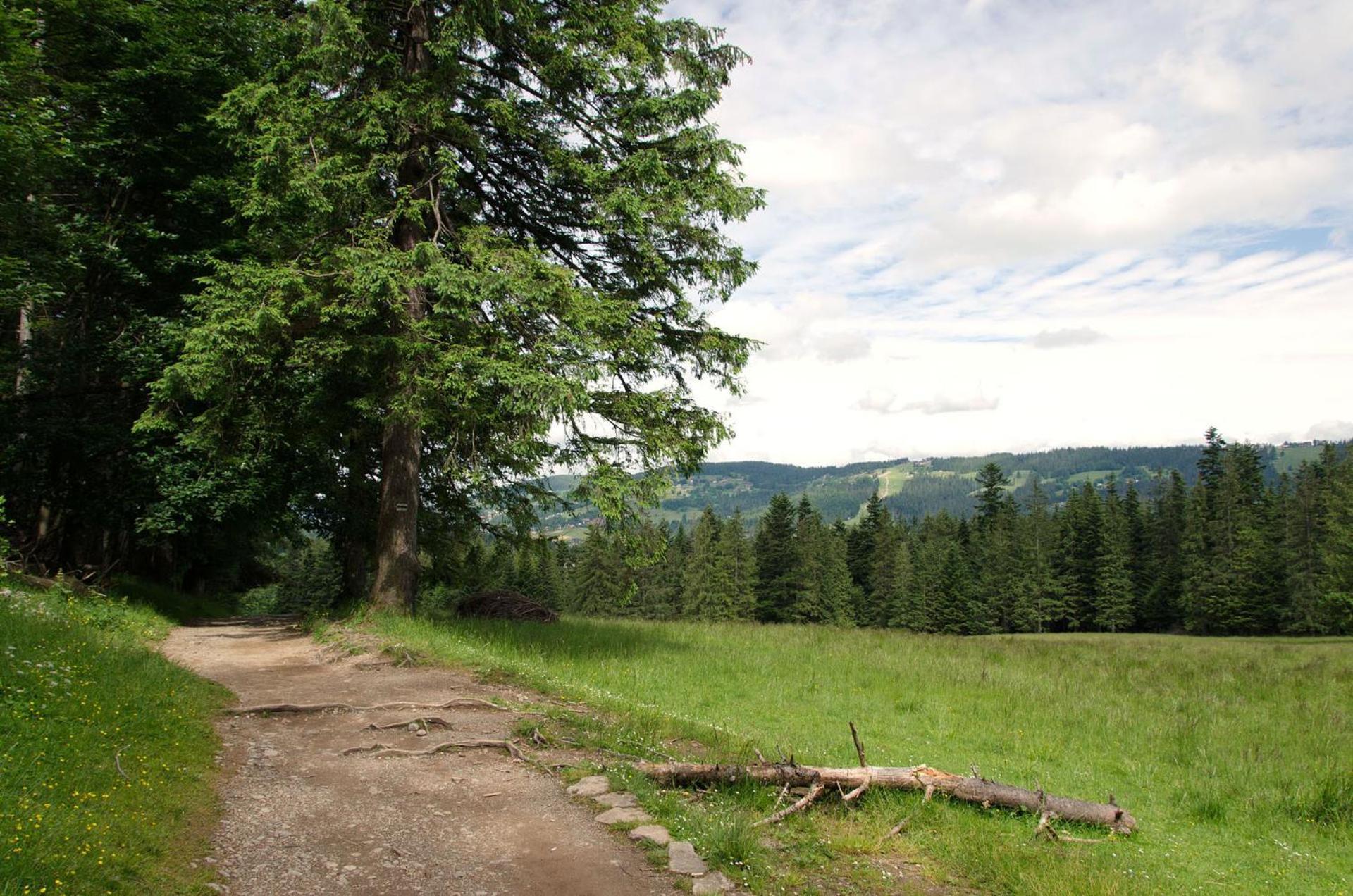 Domek Sekret Zakopane Exteriér fotografie